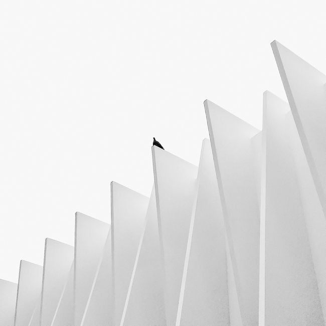Nordic DSO Alliance
